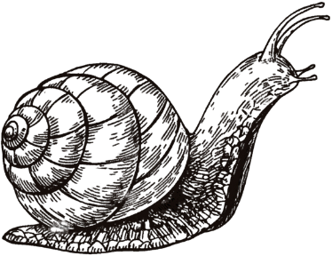 Caracol